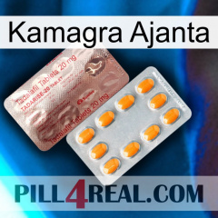 Kamagra Ajanta new13